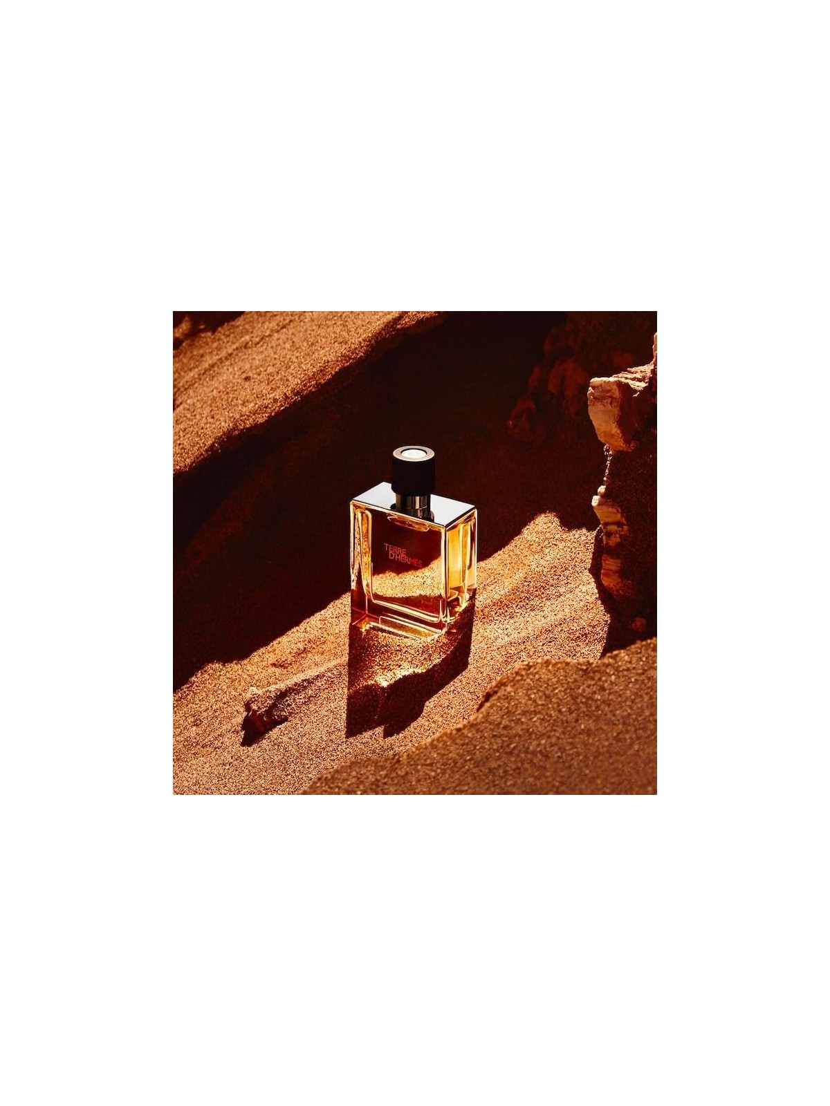 Hermes Terre D'Hermes Parfum Spray 75ml acquista