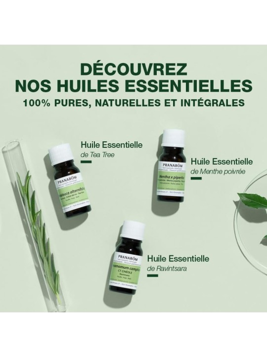 Olio Essenziale Chiodi di Garofano 10ml
