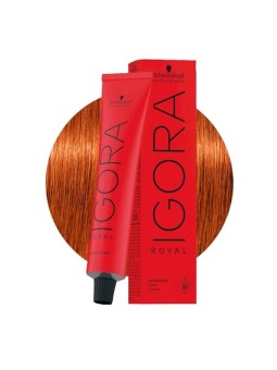 Schwarzkopf Igora Royal 7-4 Colorazione Creme 60ml