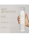 Awapuhi Wild Ginger Di Paul Mitchell Style Spray per Capelli senza Parabeni Finitura Tenuta Forte 300ml donna