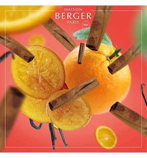 Maison Berger Paris Lampe RicaricaRicarica Arancia Cannella  Arancia e Cannella  donna 500ml