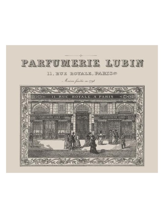 Renier Perfumes Kisses Rain Eau De Parfum 50 ml unisex
