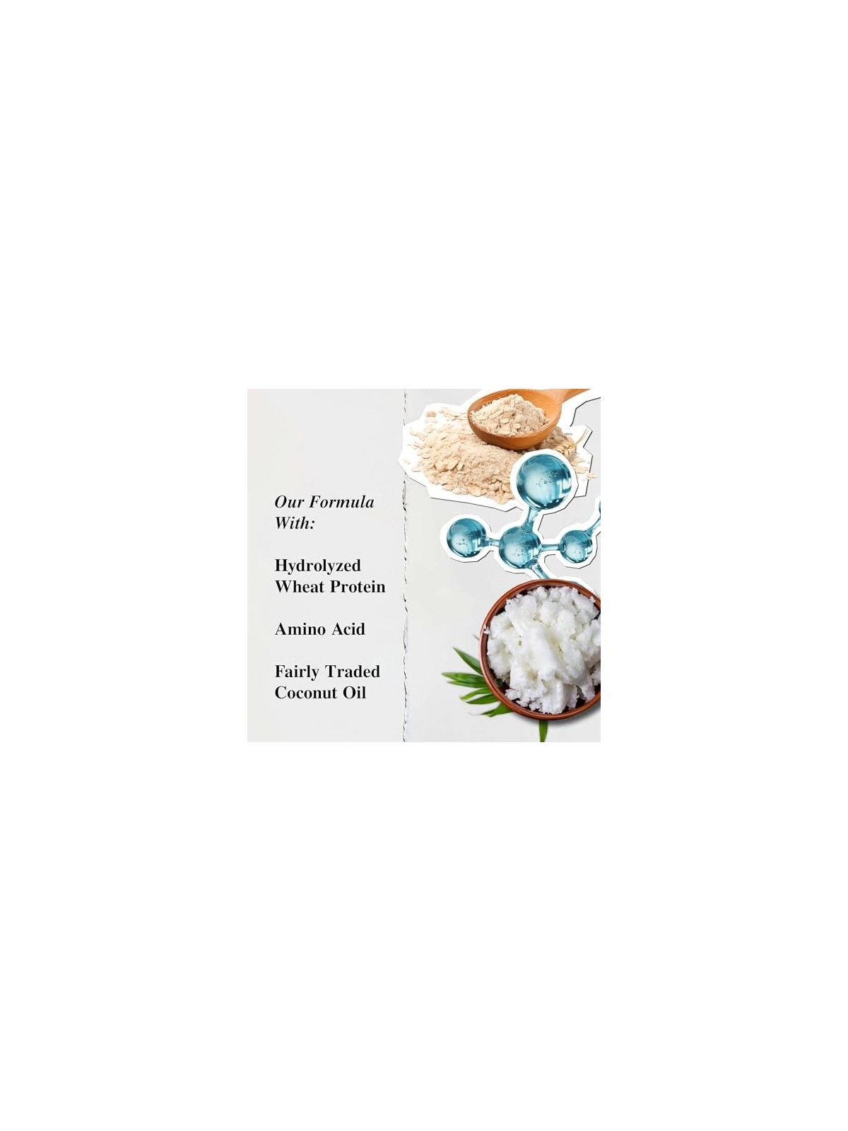 Kiehl's Amino Acid Shampoo unisex 250ml For All Hair Types