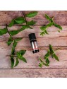 Olio di menta cinese originale Chin Min 10ml