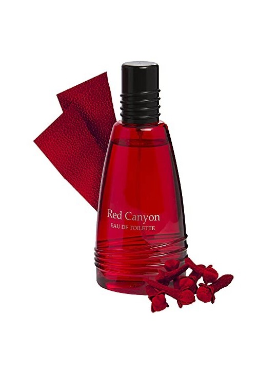 REAL TIME Red Canyon Eau de toilette 100ml
