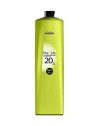 L'Orï¿½ï¿½al Professionnel Inoa Color Ossidante Riche 6 20 Vol Emulsione sviluppante per tutti i tipi di capelli donna 1000ml