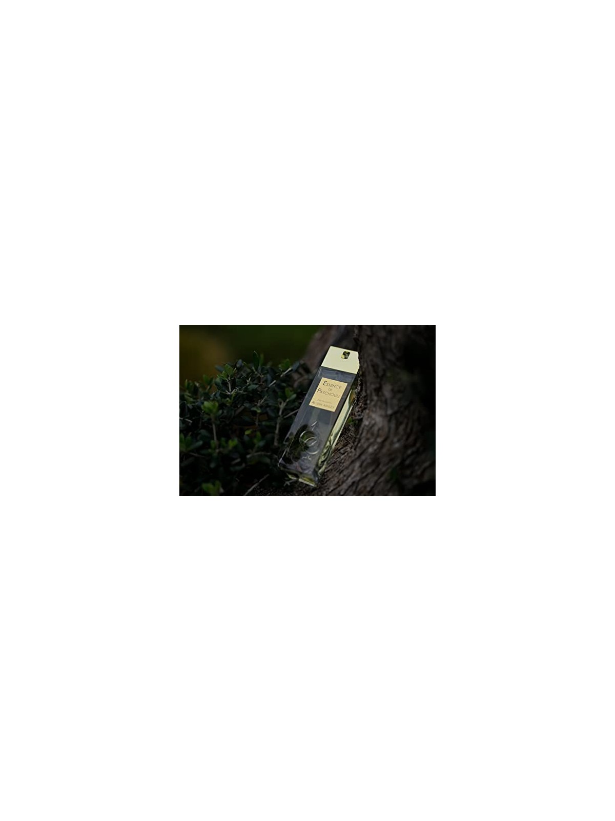 Alyssa Ashley Essence De Patchouli Eau De Parfum Spray 50ml Unisex Alyssa Ashley www.essenzetotalstyle.com 