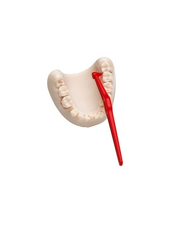 TePe Angle Interdental Brushes 2 Red