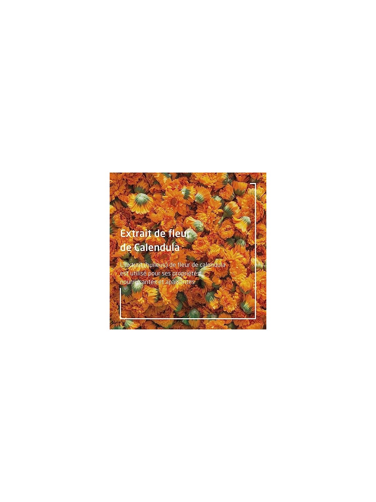 Olio calendula per bambini Weleda 200ml