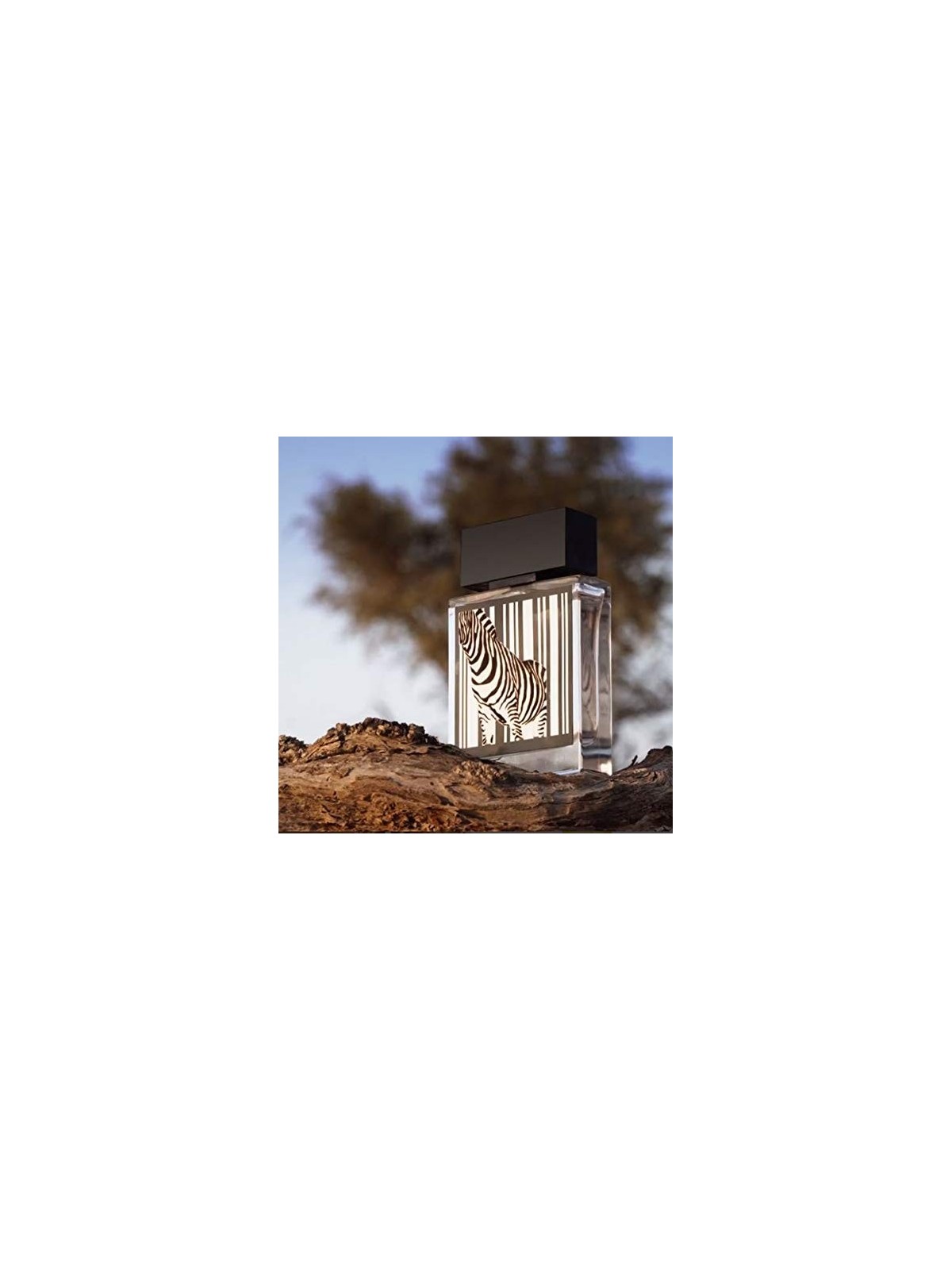 Rasasi Rumz Al Rasasi Zebra 9325 Pour Elle EDP 50ml