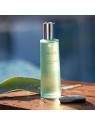 Ahava Deadsea Plants Dry Oil Sea-Kissed Body Mist 100ml