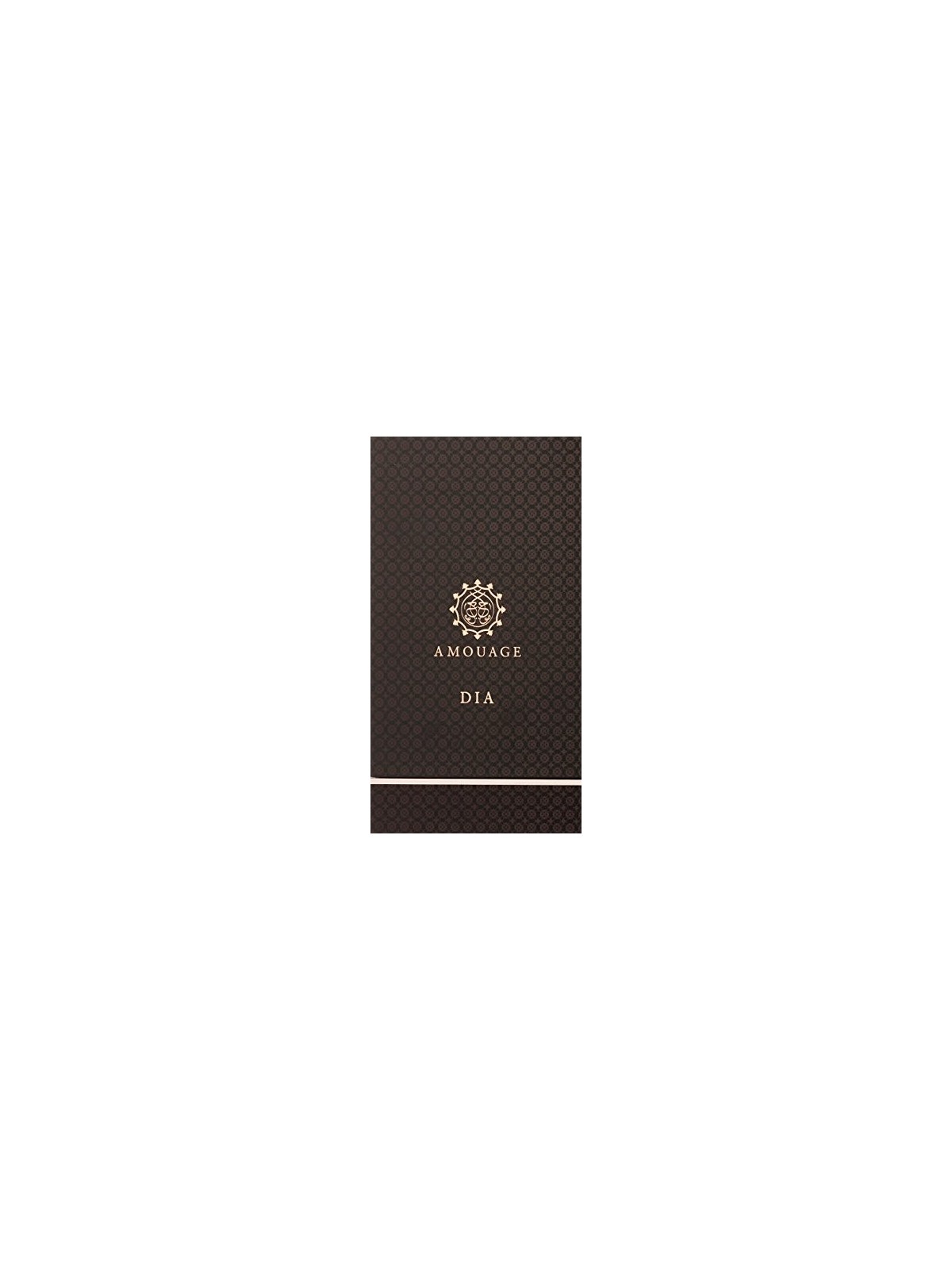 Amouage Dia pour Homme Eau de Parfum Uomo 100ml