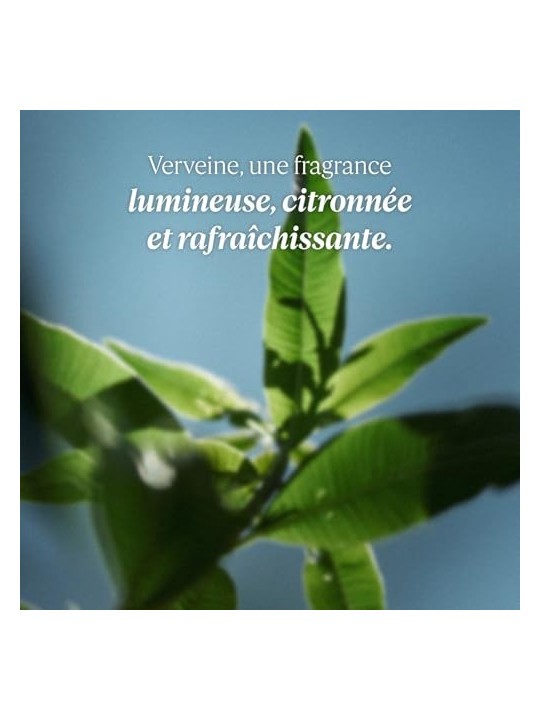 L'Occitane Verbena Cooling Hand Cream Gel donna 30ml