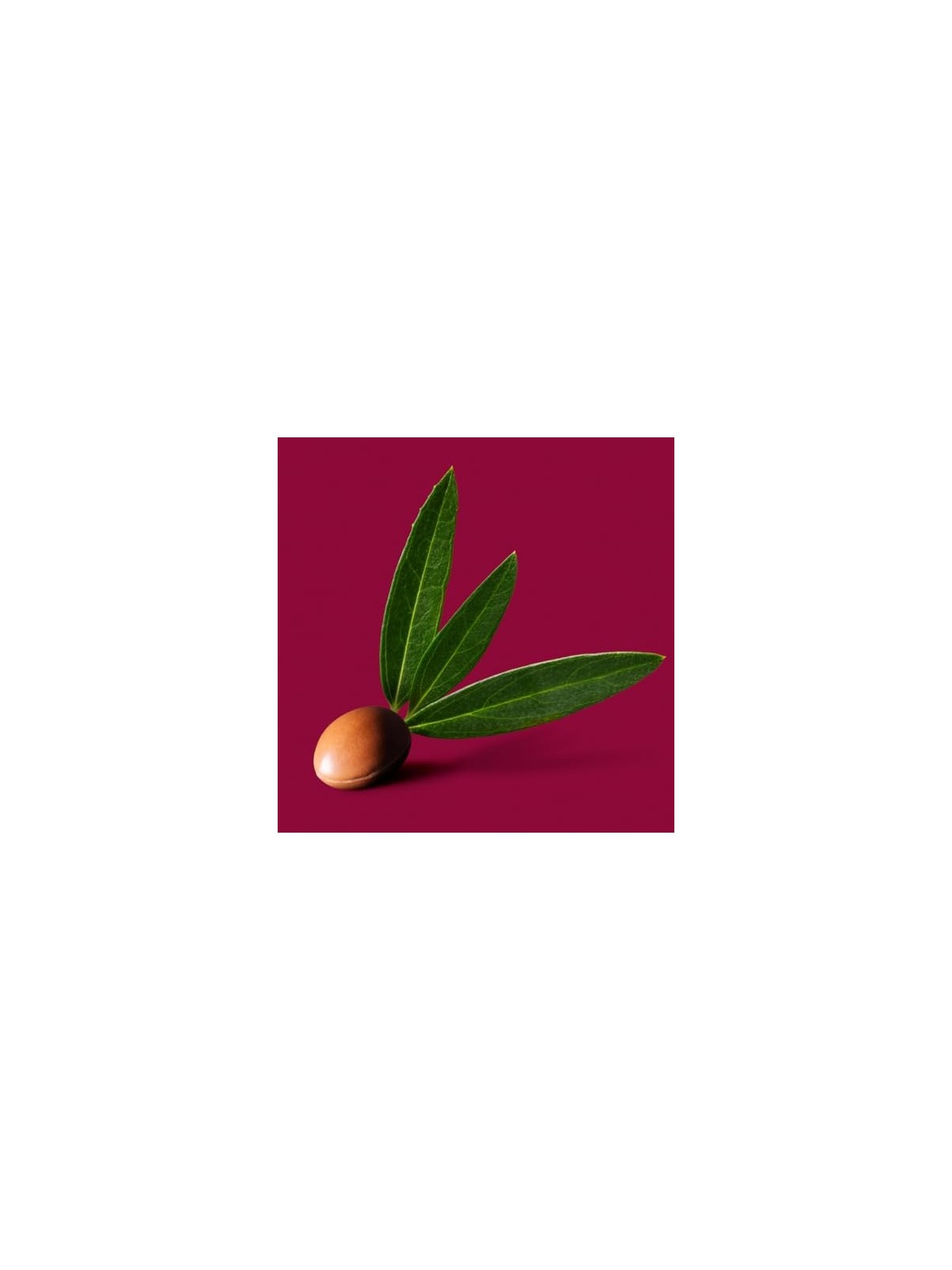 Melvita L'Argan Bio Gentle Shower 250ml