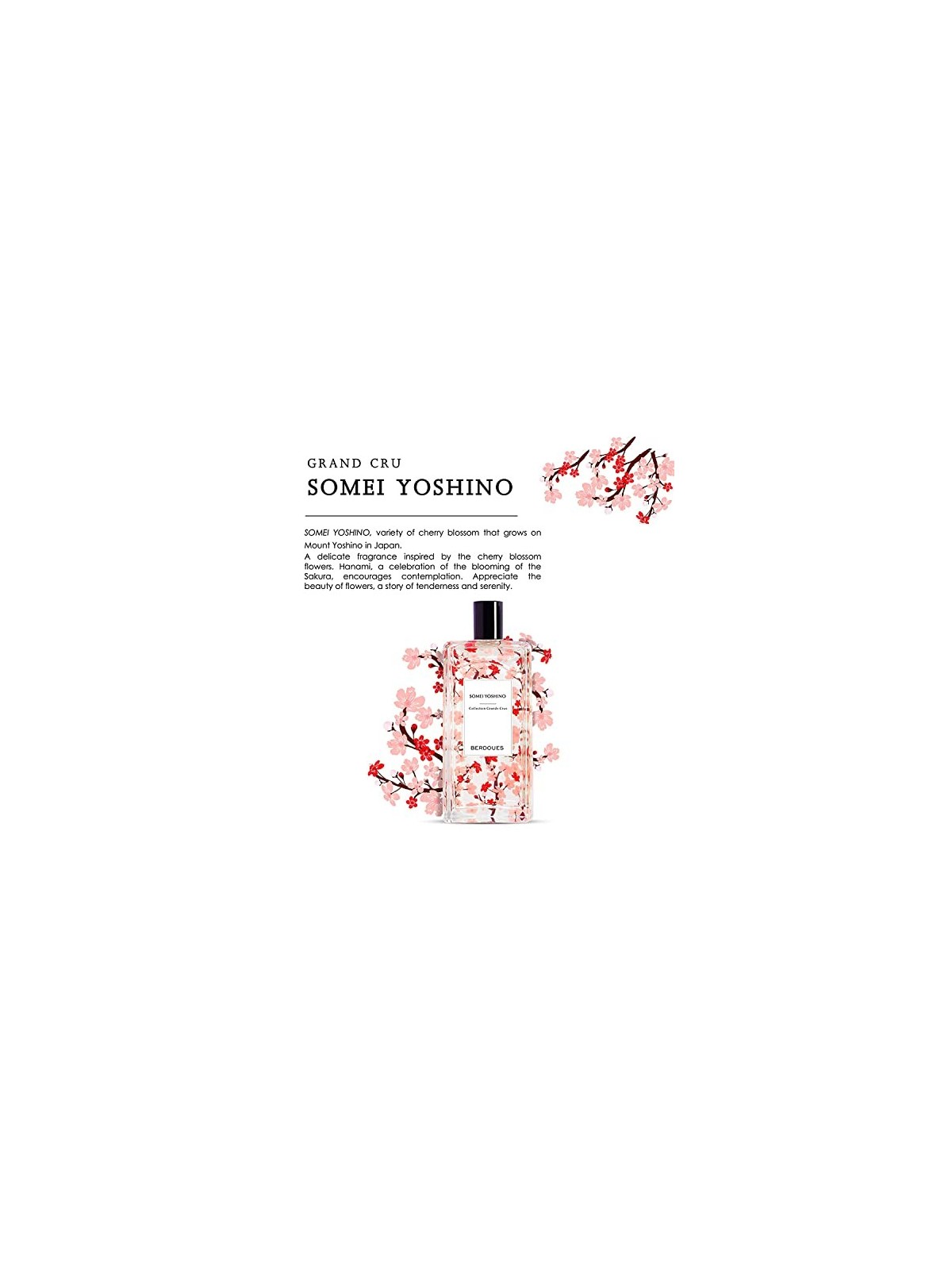 Profumo Parfums Berdoues Somei Yoshino Eau De Profumo 100ml unisex