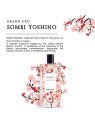 Profumo Parfums Berdoues Somei Yoshino Eau De Profumo 100ml unisex