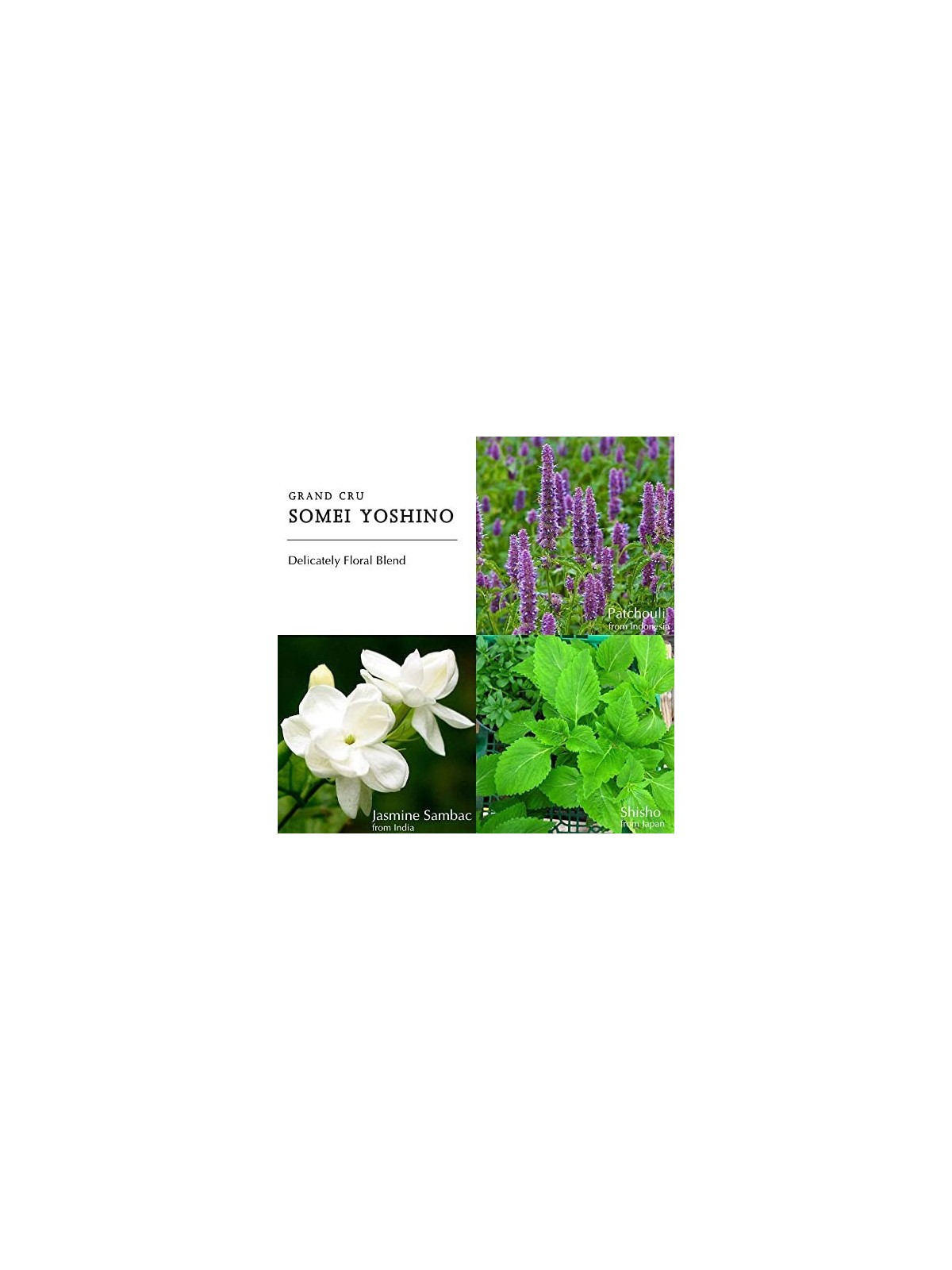 Profumo Parfums Berdoues Somei Yoshino Eau De Profumo 100ml unisex
