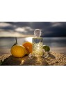 Rochas Acqua di Rochas eau de toilette donna 100ml Rochas www.essenzetotalstyle.com 