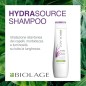 Matrix Biolage Hydrasource Shampoo shampoo per capelli secchi 250ml donna