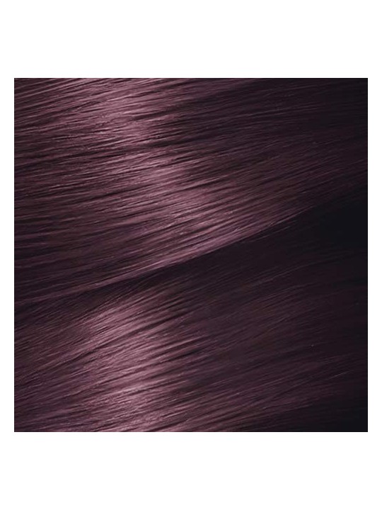 Garnier NUTRISSE 426 cassis 1 unit unisex