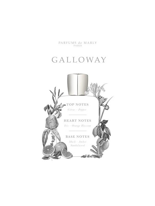 Parfums De Marly Galloway eau de parfum unisex 125ml
