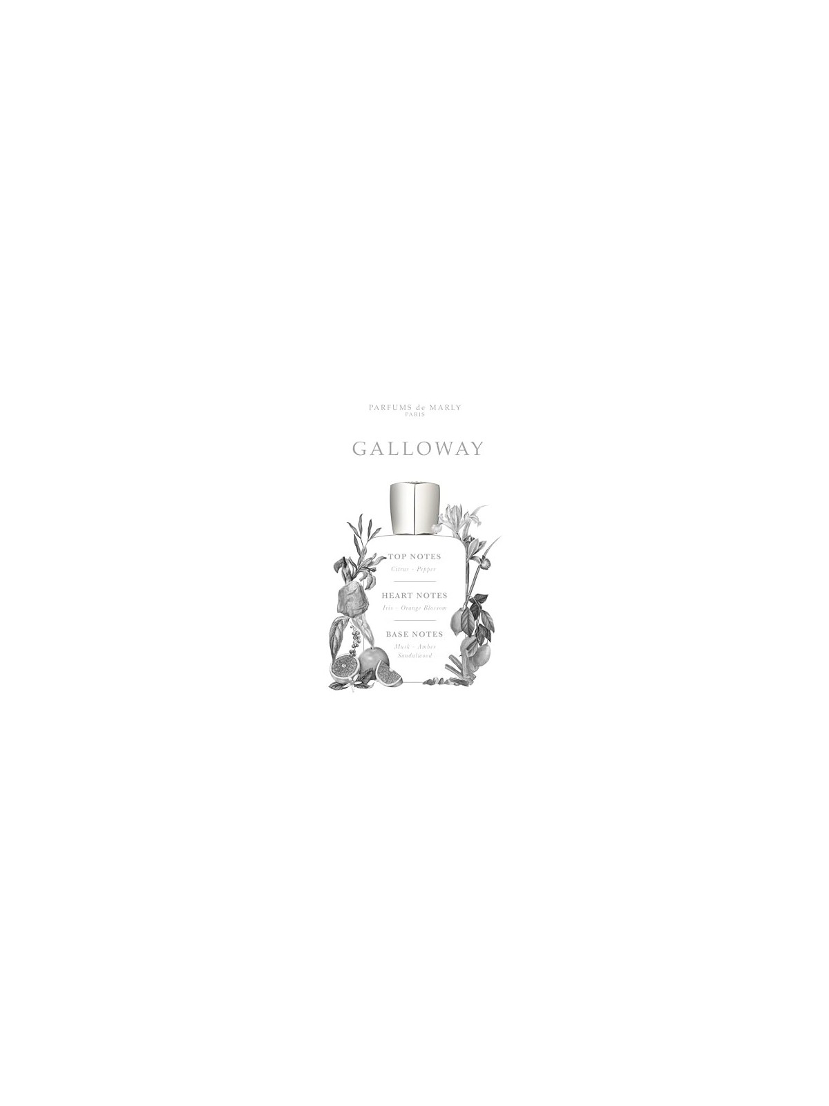 Parfums De Marly Galloway eau de parfum unisex 125ml