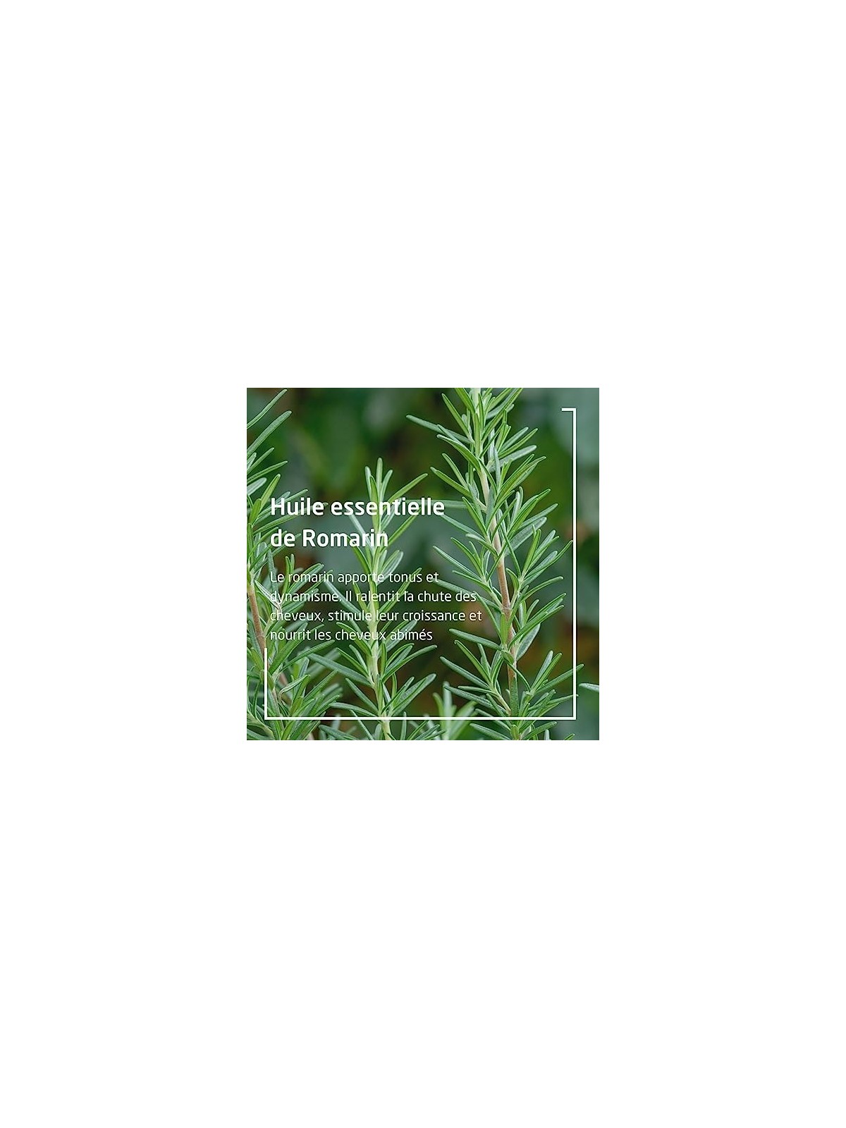 Revitalising Hair Lotion donna 100ml