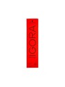 Schwarzkopf Igora Royal 6-6 60ml