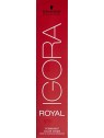 Schwarzkopf Igora Royal 7-00 Colorazione Creme 60ml