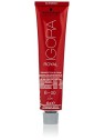 Schwarzkopf Igora Royal Permanent Color Creme donna 60ml 8-00