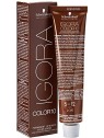 Schwarzkopf Igora Royal Color 10 60ml 5-12