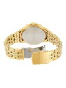Citizen Quartz BF2013-56PE acquista 