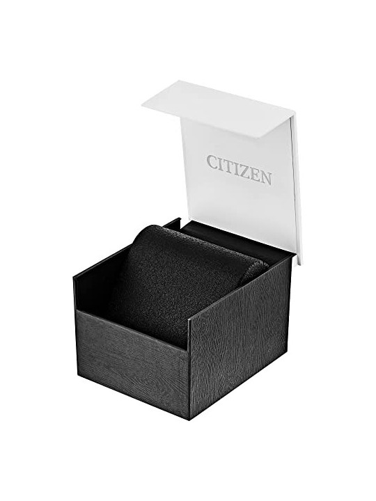 Citizen Quartz BF2013-56PE acquista 
