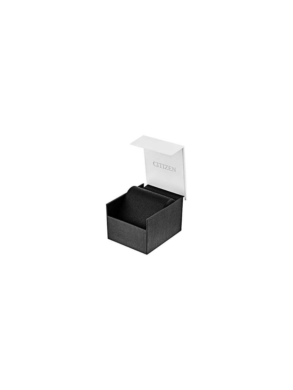 Citizen Quartz BF2013-56PE acquista 