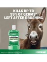 Listerine Fresca esplosione