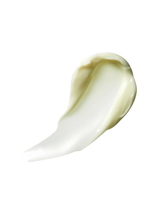 Rodial Dragon's Blood Hyaluronic Night Cream donna 50ml