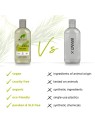 Dr Organic BIOACTIVE ORGANICO shampoo albero del t 265ml unisex Dr. Organic www.essenzetotalstyle.com 
