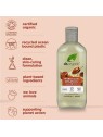 Dr Organic Argan Oil Shampoo 265ml Unisex