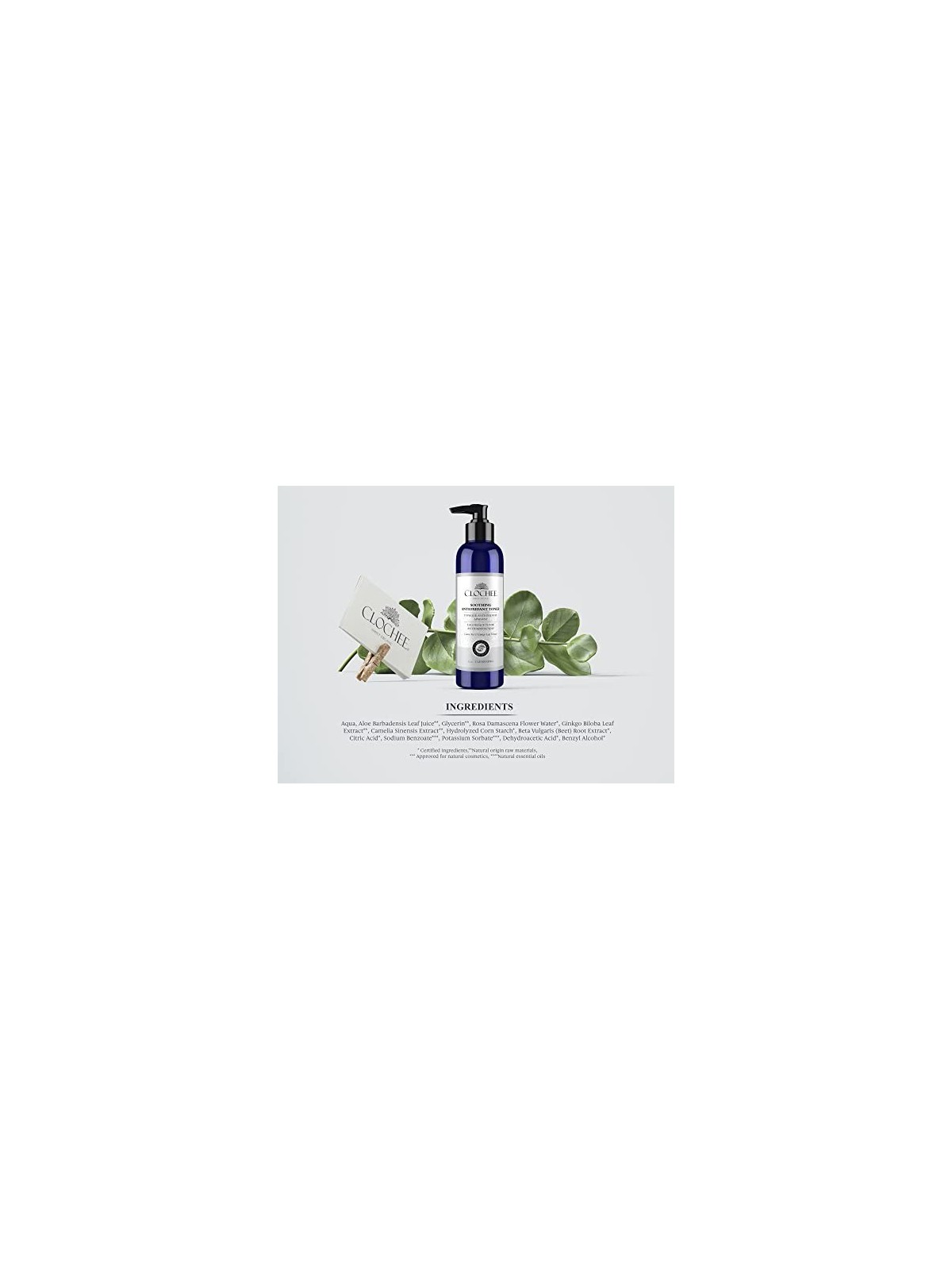 CLOCHEE Tonico lenitivo antiossidante Estratto di foglie di t verde e ginkgo 250ml