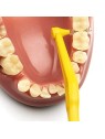TePe Scovolino Interdentale Angolare 6 Pz donna  07 mm lut