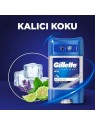 GILLETTE Endurance Gel antitraspirante ad alte prestazioni per uomo Arctic Ice 70ml