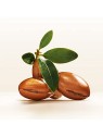 Pantene ARGAN olio secco 100ml donna