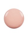 Smalto Diego Dalla Palma 208 Magnetic Naked, 14ml. Copertura totale, senza toluene. Per unghie magnetiche e sofisticate.