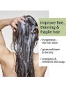 Shampoo Energizzante Milk Shake Blend per capelli fini e fragili