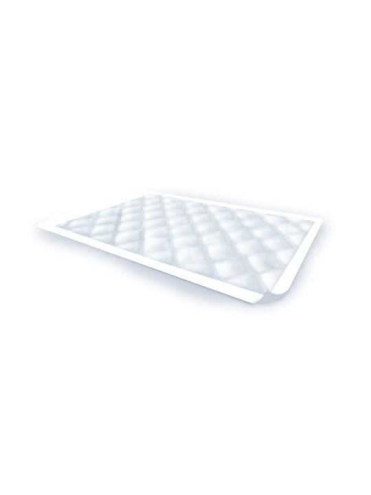 Indasec INDASBED protezione assorbente 60x60 cm 20 unit donna