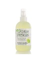 Colonia Concentrata spray 250ml unisex