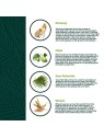 Natur Vital SIERO ANTICADUTA trattamento intensivo 7 fiale x 12ml unisex