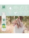 Shampoo in schiuma con aloe vera 200ml unisex