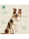 Profumo per cani Men For San ACQUA DI COLONIA PER CANI canela 125ml unisex