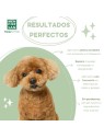 Shampoo PERRO aloe vera 300ml unisex